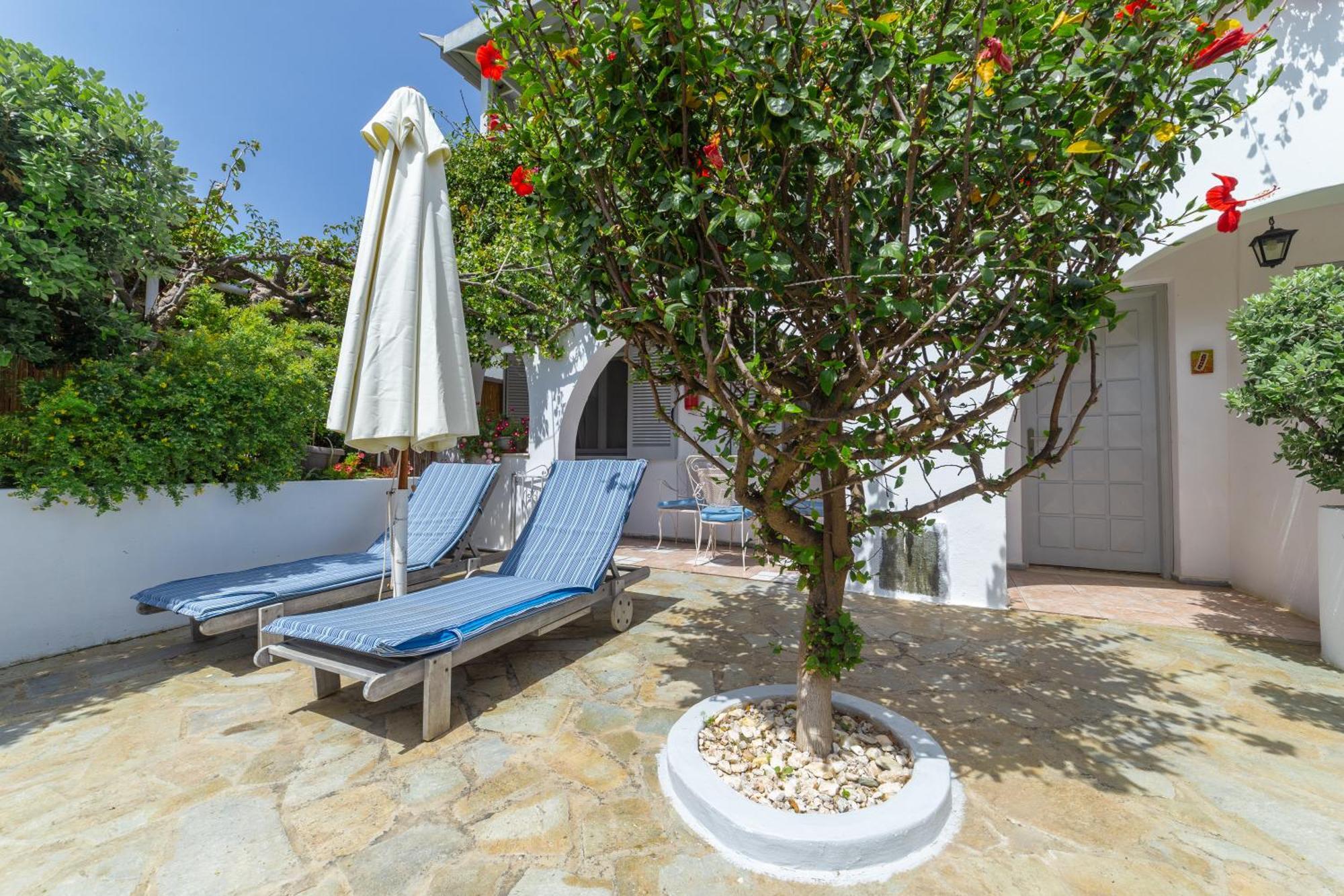 Villa Arni Andros - Βίλα Αρνη Batsi  Exterior photo