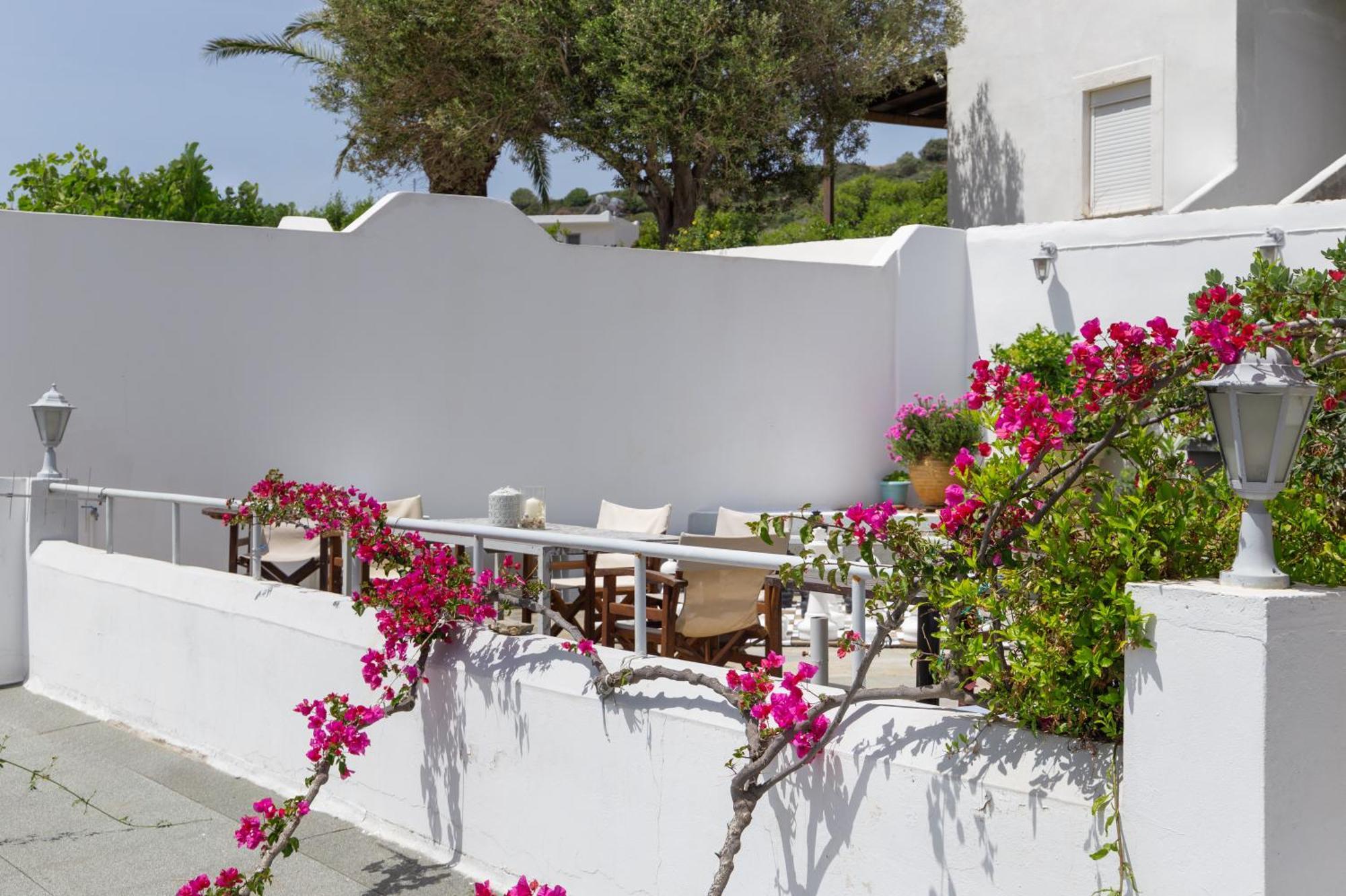 Villa Arni Andros - Βίλα Αρνη Batsi  Exterior photo