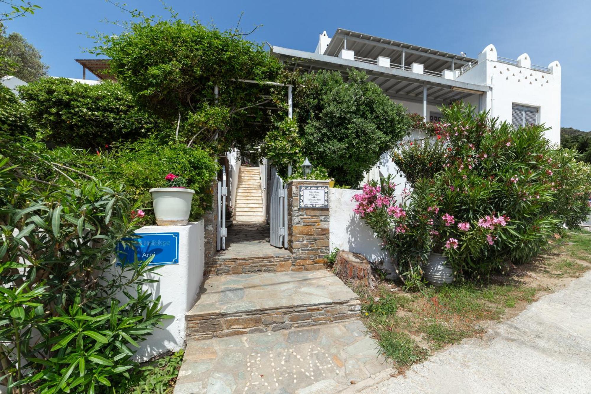 Villa Arni Andros - Βίλα Αρνη Batsi  Exterior photo